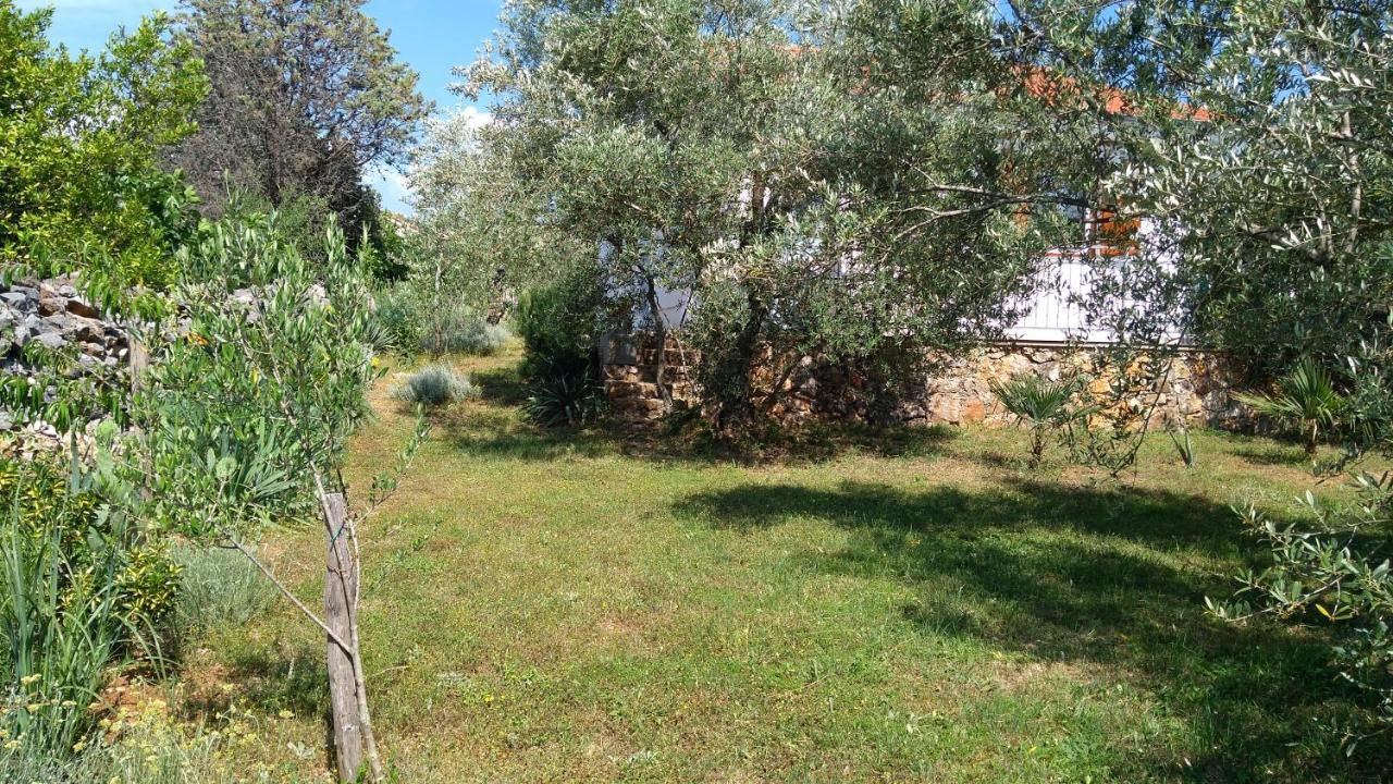 Apartman Ruza Brzac Екстериор снимка
