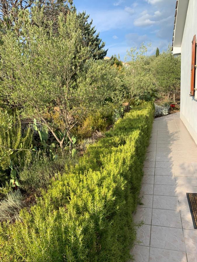 Apartman Ruza Brzac Екстериор снимка